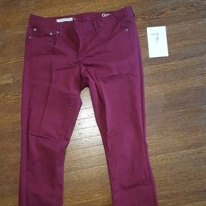 Maroon/cranberry jeans, long